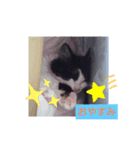 味たま（個別スタンプ：5）