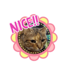味たま（個別スタンプ：8）