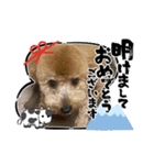 トイプ・エイトくん新年挨拶編（個別スタンプ：1）
