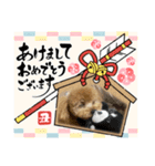 トイプ・エイトくん新年挨拶編（個別スタンプ：2）