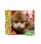 トイプ・エイトくん新年挨拶編（個別スタンプ：3）