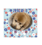 トイプ・エイトくん新年挨拶編（個別スタンプ：4）