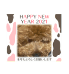 トイプ・エイトくん新年挨拶編（個別スタンプ：6）