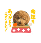 トイプ・エイトくん新年挨拶編（個別スタンプ：11）
