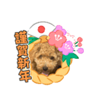 トイプ・エイトくん新年挨拶編（個別スタンプ：19）