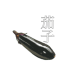 リアル野菜スタンプ(文字あり)（個別スタンプ：1）
