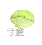 リアル野菜スタンプ(文字あり)（個別スタンプ：4）