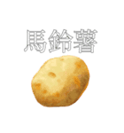 リアル野菜スタンプ(文字あり)（個別スタンプ：8）
