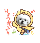 マルシーズーpinoko（個別スタンプ：9）