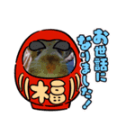 チンチラのルゥ（個別スタンプ：5）