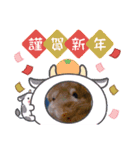 チンチラのルゥ（個別スタンプ：8）