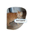 みいちゃんスタンプ202012（個別スタンプ：3）