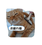 みいちゃんスタンプ202012（個別スタンプ：5）