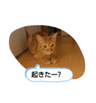 みいちゃんスタンプ202012（個別スタンプ：6）