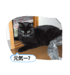 みいちゃんスタンプ202012（個別スタンプ：7）