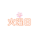 生活 曜日 日常（個別スタンプ：2）