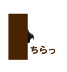 名犬 モモ（個別スタンプ：9）