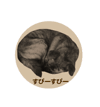 名犬 モモ（個別スタンプ：11）