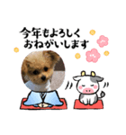 エールさん（個別スタンプ：1）