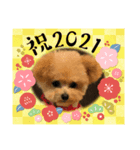 エールさん（個別スタンプ：3）