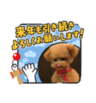エールさん（個別スタンプ：4）