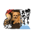 エールさん（個別スタンプ：5）