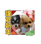 エールさん（個別スタンプ：7）
