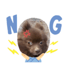 かわいい犬です（個別スタンプ：4）