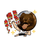 かわいい犬です（個別スタンプ：13）