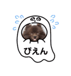 かわいい犬です（個別スタンプ：18）