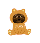 かわいい犬です（個別スタンプ：19）