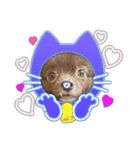 かわいい犬です（個別スタンプ：23）