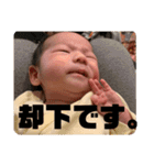 ふうちゃんスタタンプ③（個別スタンプ：4）