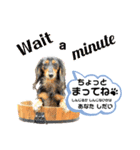 ミニチュアダックスの気ままなランチ④（個別スタンプ：3）