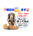 ミニチュアダックスの気ままなランチ④（個別スタンプ：8）