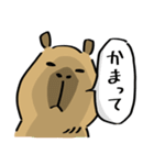 カピすけ 日常会話2（個別スタンプ：32）