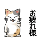 猫大好き！その38（個別スタンプ：1）