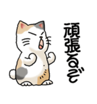 猫大好き！その38（個別スタンプ：3）