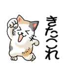 猫大好き！その38（個別スタンプ：5）