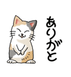 猫大好き！その38（個別スタンプ：13）