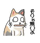 猫大好き！その38（個別スタンプ：17）