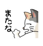 猫大好き！その38（個別スタンプ：27）