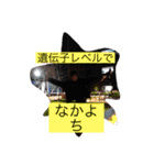 やまざわのスタンプ すごp（個別スタンプ：22）
