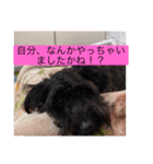 やまざわのスタンプ すごp（個別スタンプ：37）