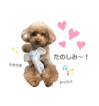 〜わが家の愛犬〜     mikan❤︎cherry（個別スタンプ：9）