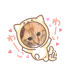 茶とらのあいすくん。ときどききゃめる（個別スタンプ：23）