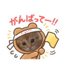 茶とらのあいすくん。ときどききゃめる（個別スタンプ：24）