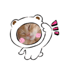 茶とらのあいすくん。ときどききゃめる（個別スタンプ：29）