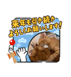 茶とらのあいすくん。ときどききゃめる（個別スタンプ：31）