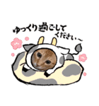 茶とらのあいすくん。ときどききゃめる（個別スタンプ：33）